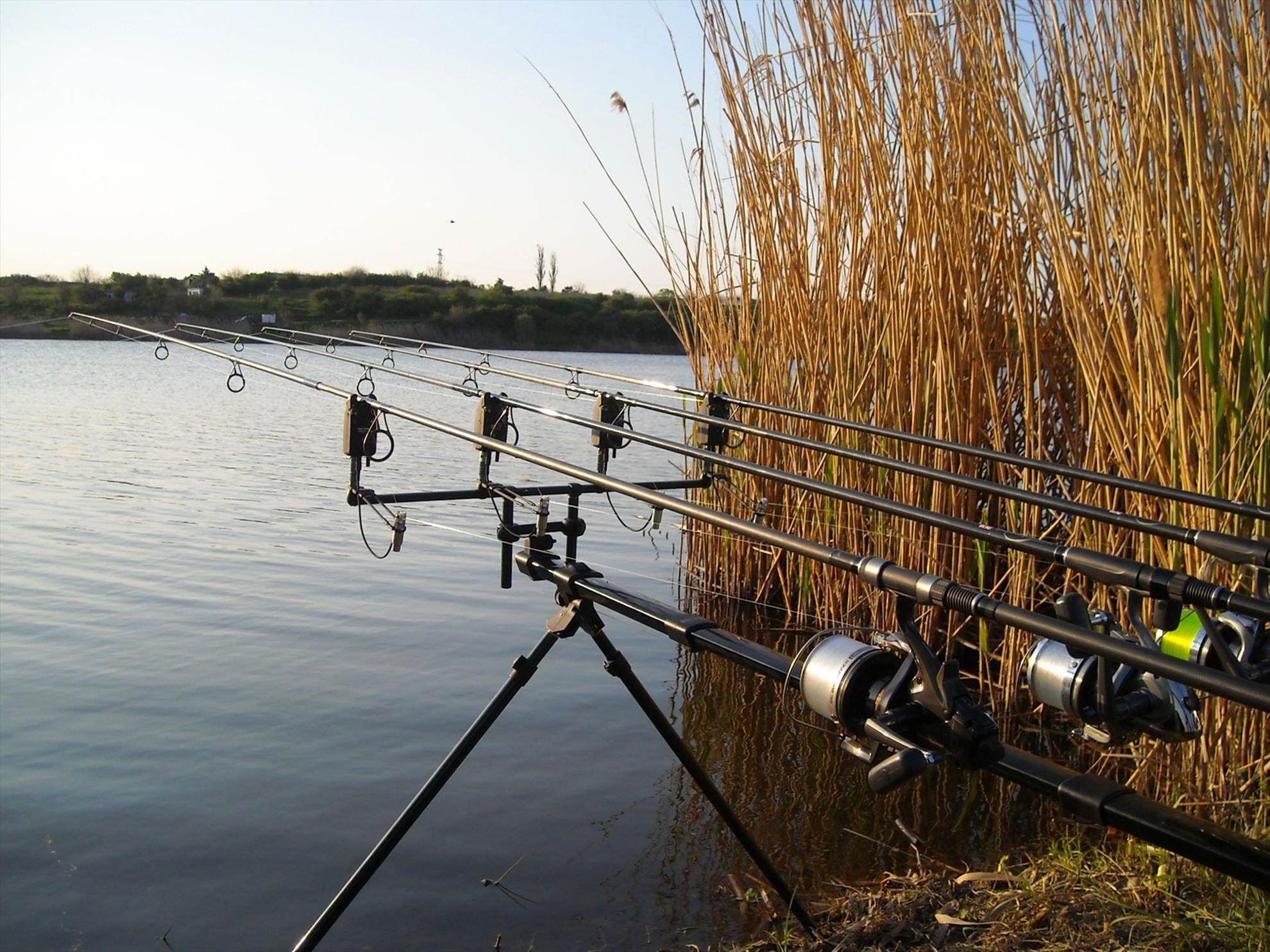 Crapmania - 2010 - crapmania-2010-047.jpg